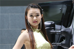 上海村庄水源保护实践研究 上海村庄水源保护实践研究